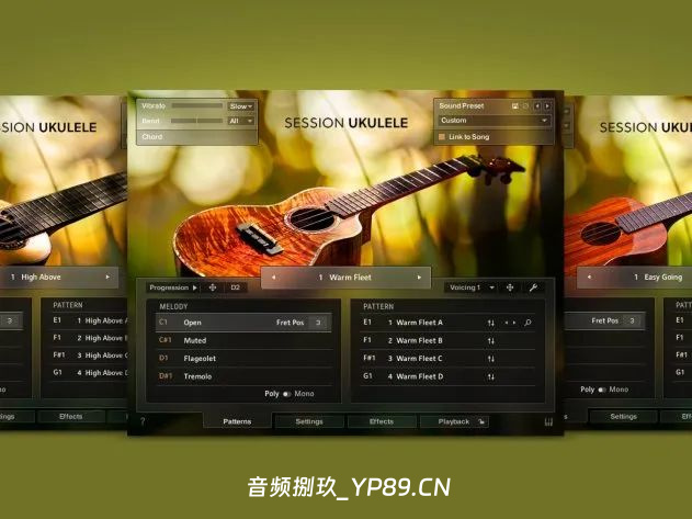 Native Instruments – Session Ukulele尤克里里-音频捌玖资源网